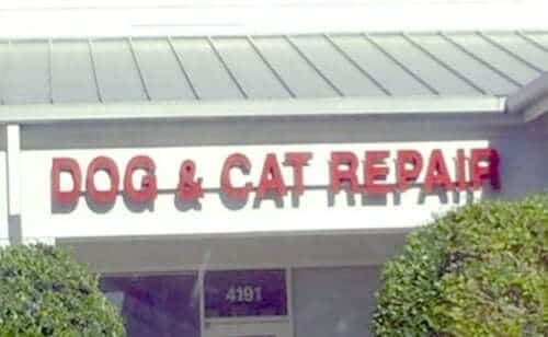 dog and cat repair 