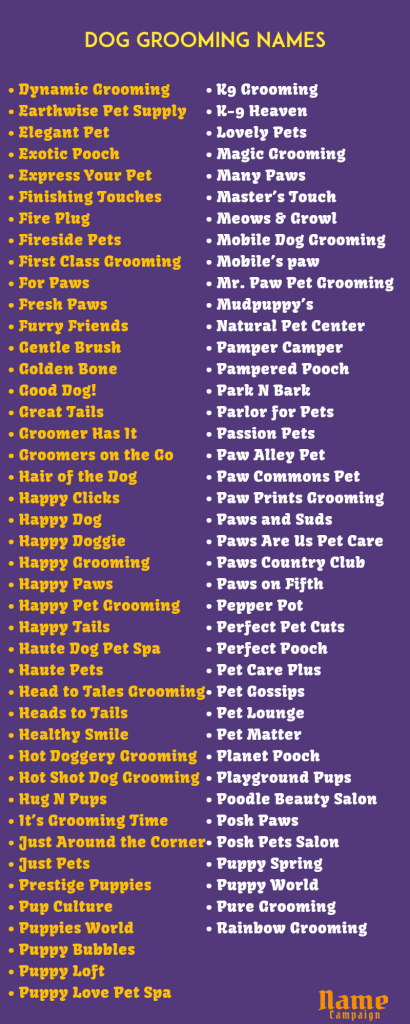  Dog Grooming Business Names  Check it out now 