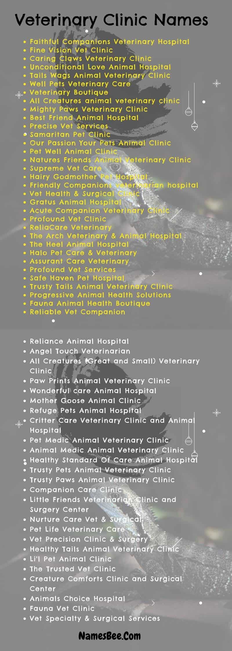 600+ Cute Veterinary Clinic Names to Choose From – NamesBee