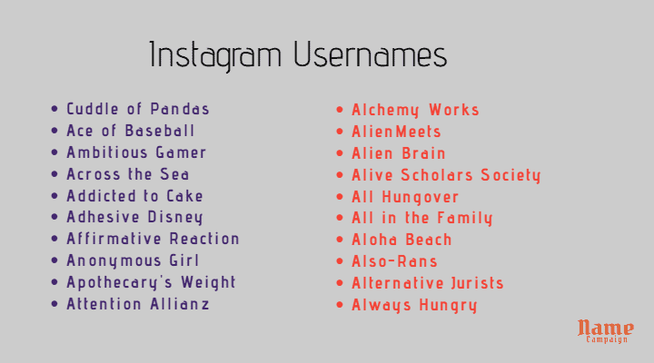 Instagram usernames 