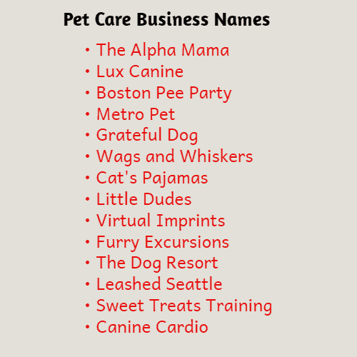 catchy pet sitter names