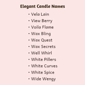900+ Best Candle Business Names + Availability Check