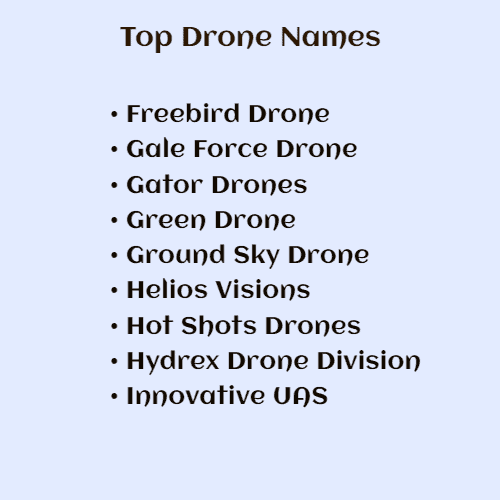 best drone names