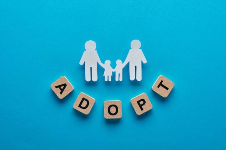 domestic adoption agency names