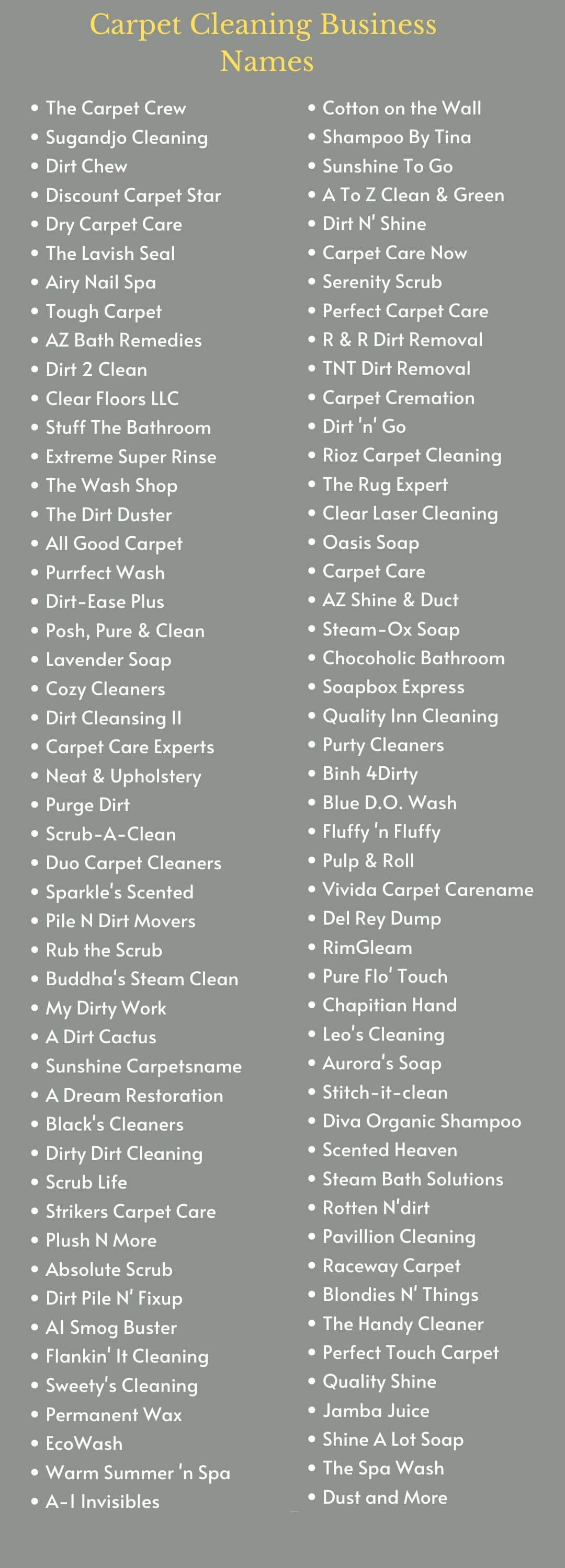 Carpet Cleaning Business Names: Infographic