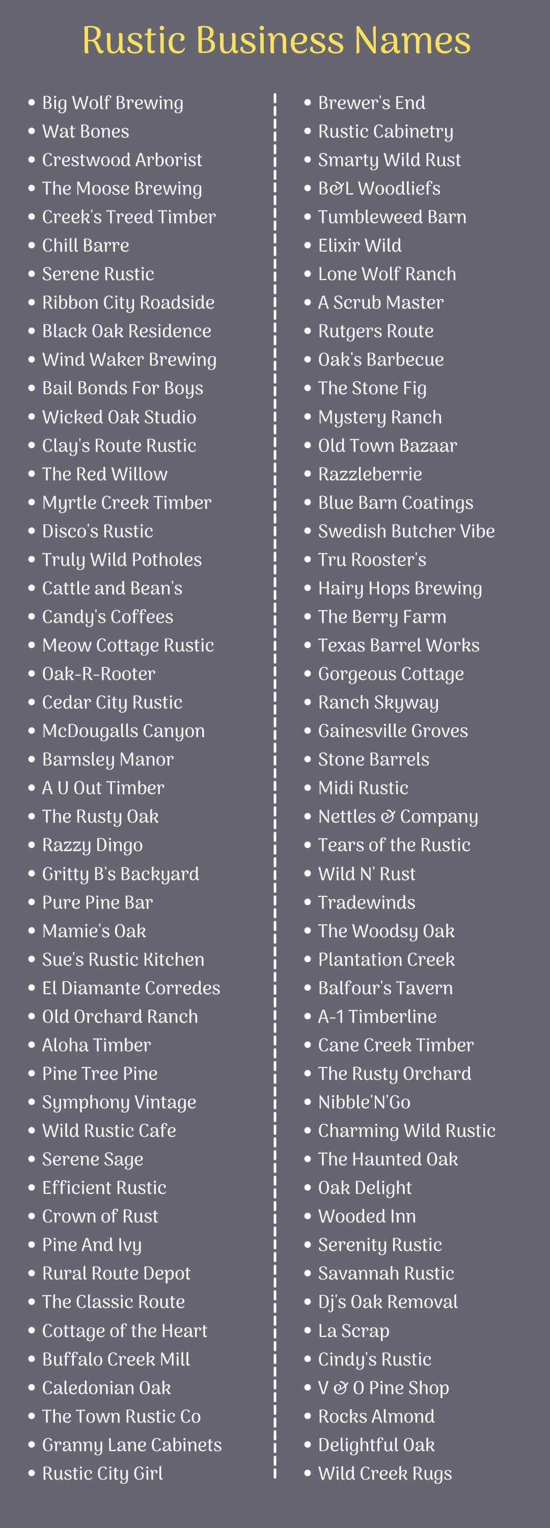 Rustic Business Names infographic