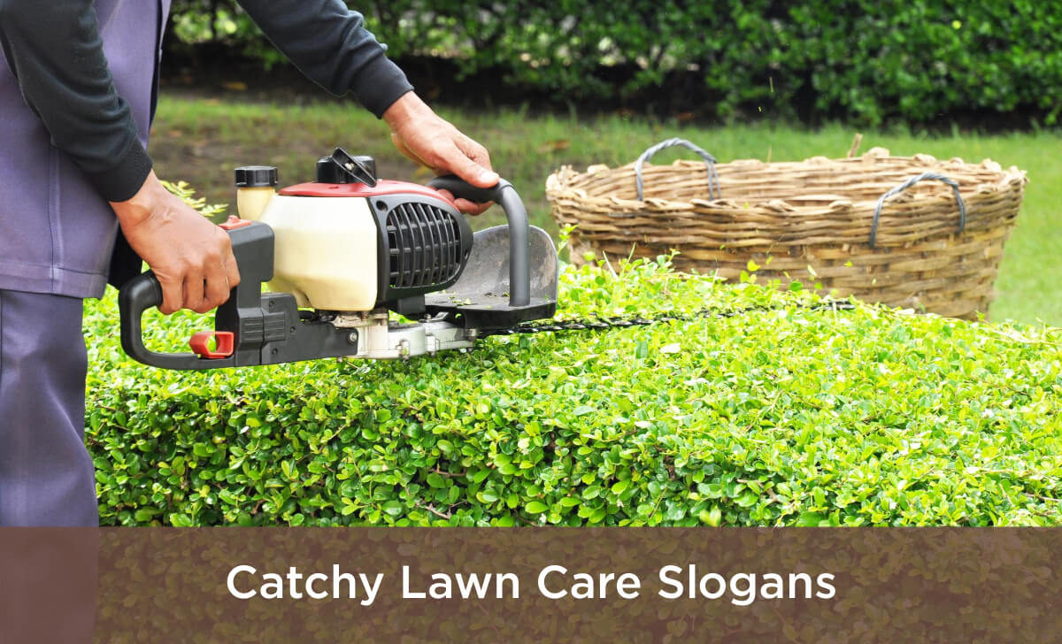 Catchy Lawn Care Slogans Ideas