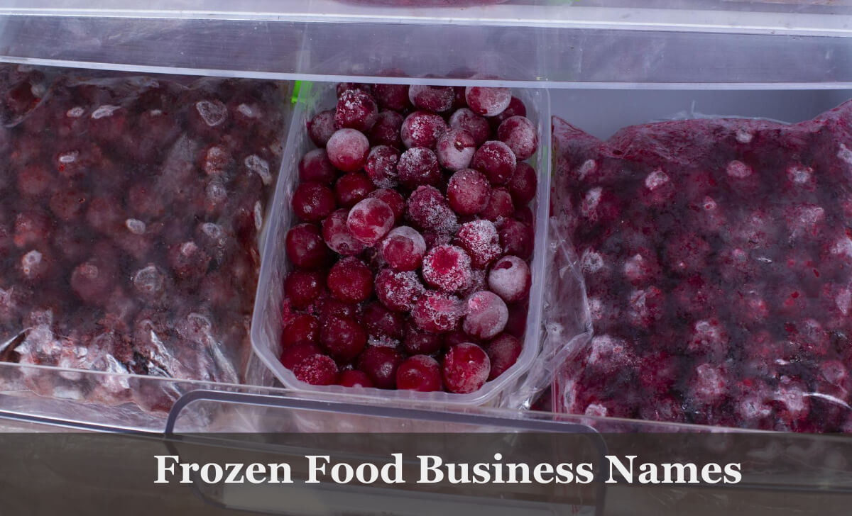 Frozen Food Business Names Ideas