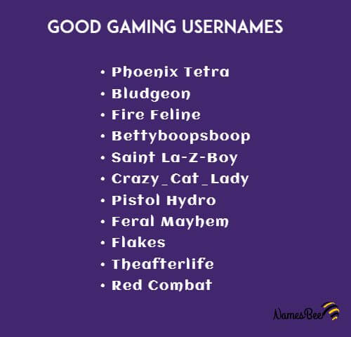 900+ Catchy Gaming Username Ideas to Choose From - NamesBee