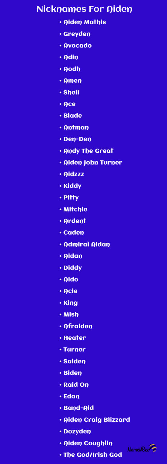 Aiden Nicknames: 100+ Catchy And Creative Aiden Nicknames Ideas - NamesBee