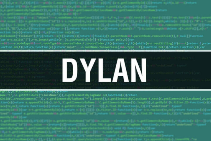 dylan nicknames