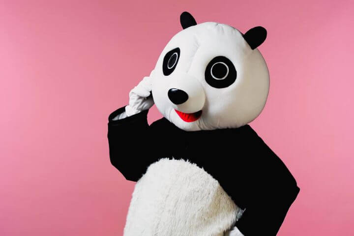 panda usernames
