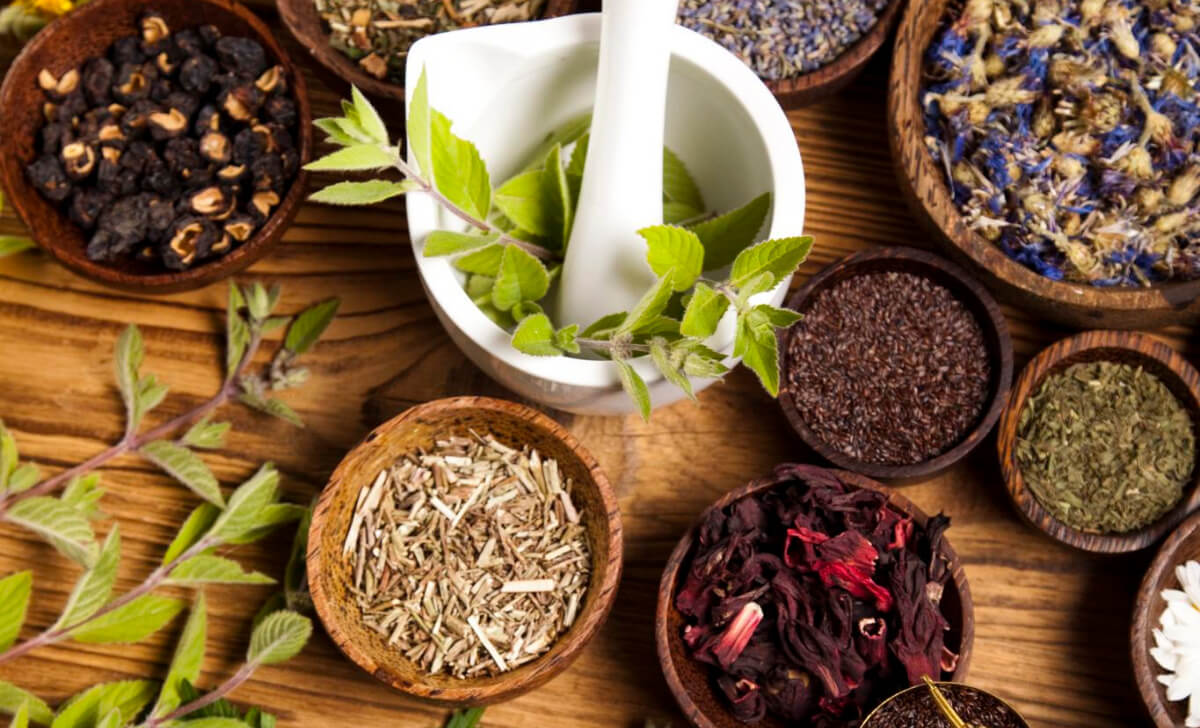 herbal classes business names ideas